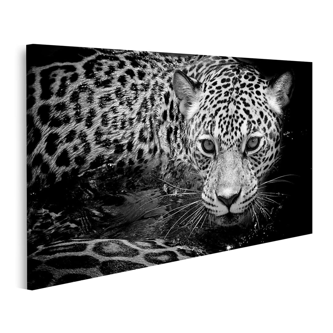 islandburner Bild auf Leinwand Jaguar Portrait Schwarz-Weiss Bilder Wandbilder Poster, Leinwand 100x