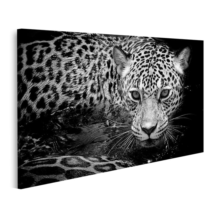 islandburner Bild auf Leinwand Jaguar Portrait Schwarz-Weiss Bilder Wandbilder Poster, Leinwand 100x