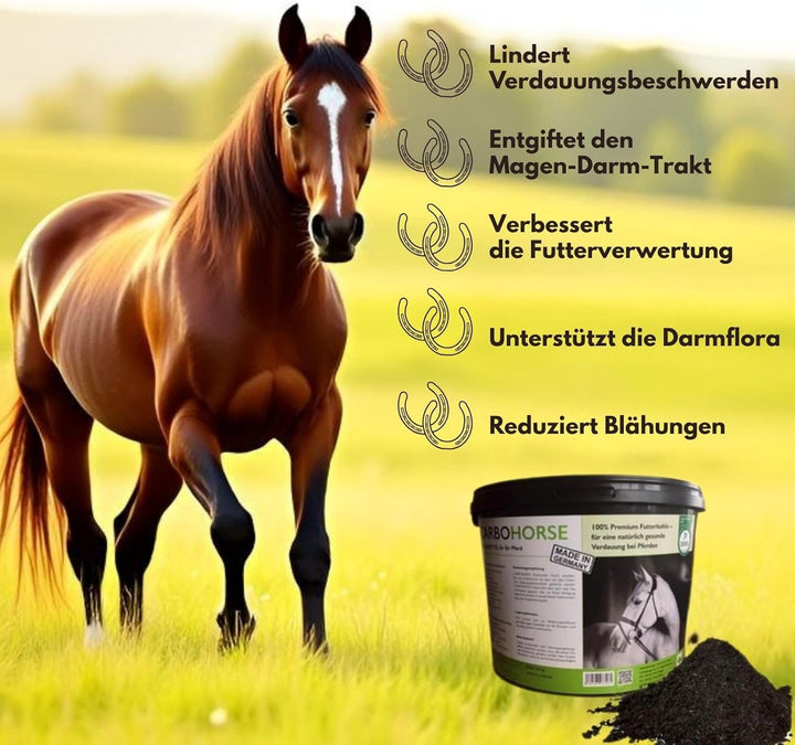 Carbo Verte Premium Futterkohle für eine natürlich gesunde Verdauung bei Pferden, 3,5 kg, nach GMP+