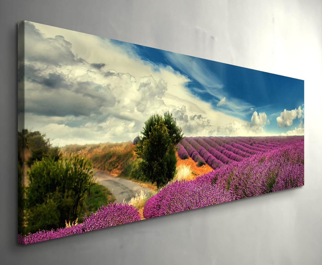 Paul Sinus Art Leinwandbilder | Bilder Leinwand 150x50cm Lavendel Felder bei blauem Himmel, 150x50cm