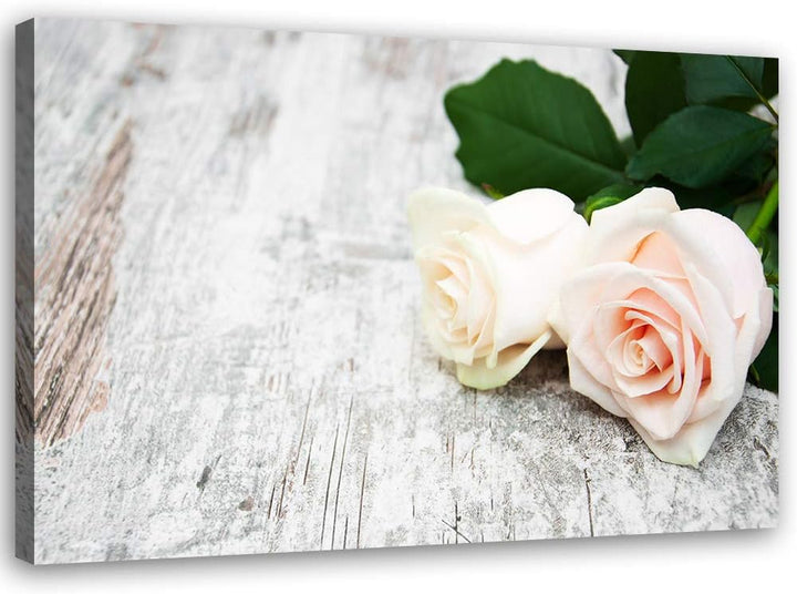 Feeby Bild auf Leinwand Rose Kunstdruck modern Pflanze Beige 80x60 cm M14554 80x60 cm, M14554 80x60