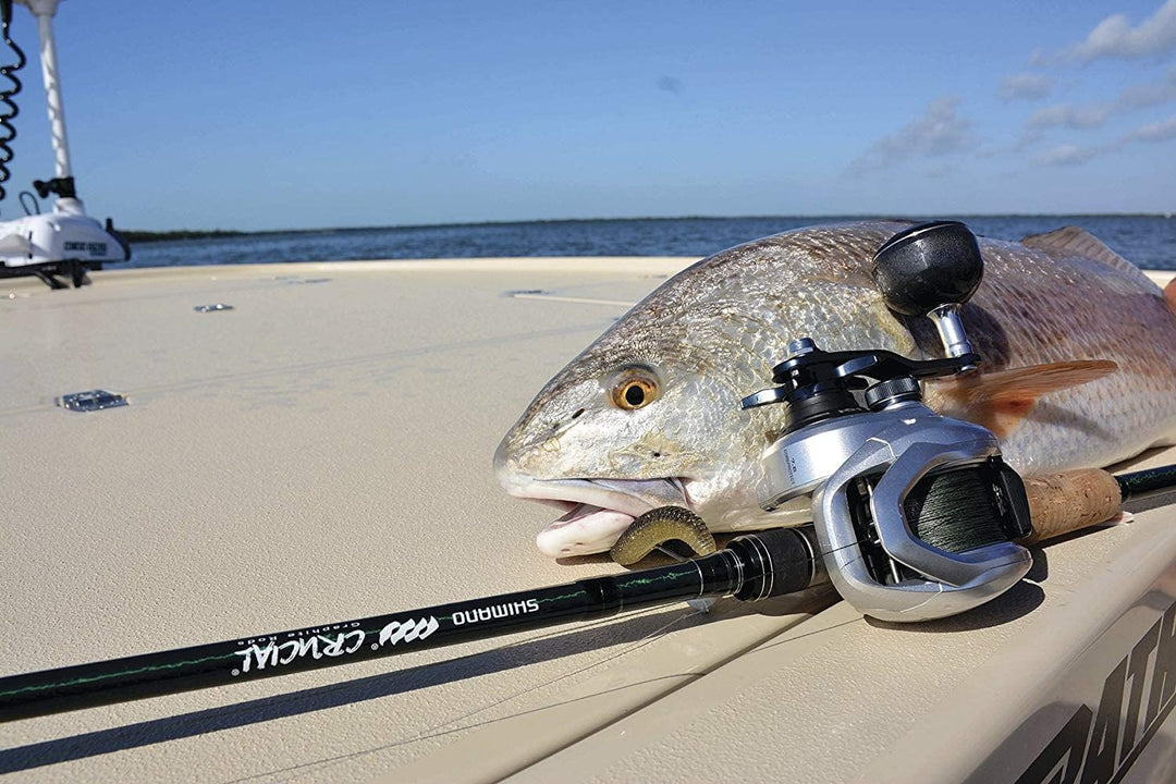 Shimano Tranx Baitcast Rolle Linkshand 401 (Gauche), 401 (Gauche)