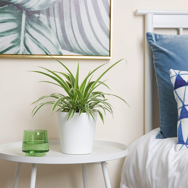 T4U 14cm Kunststoff Blumentopf mit Bewässerungssystem, 6er-Set Selbstbewässerung Übertopf mit Unters