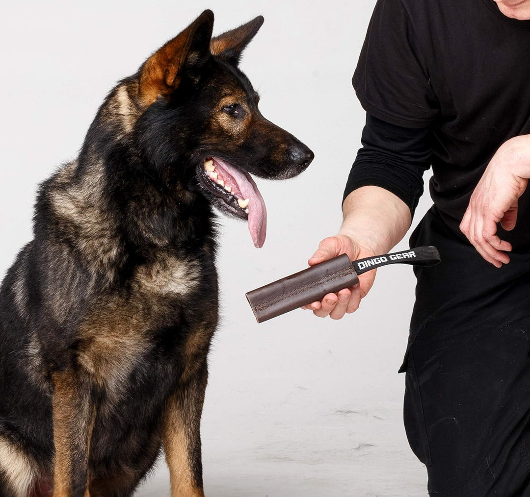 Dingo Gear S00230 Hundespielzeug Bissenzieher, Handarbeit aus braunem genarbtem Leder, Starkes Ziehe