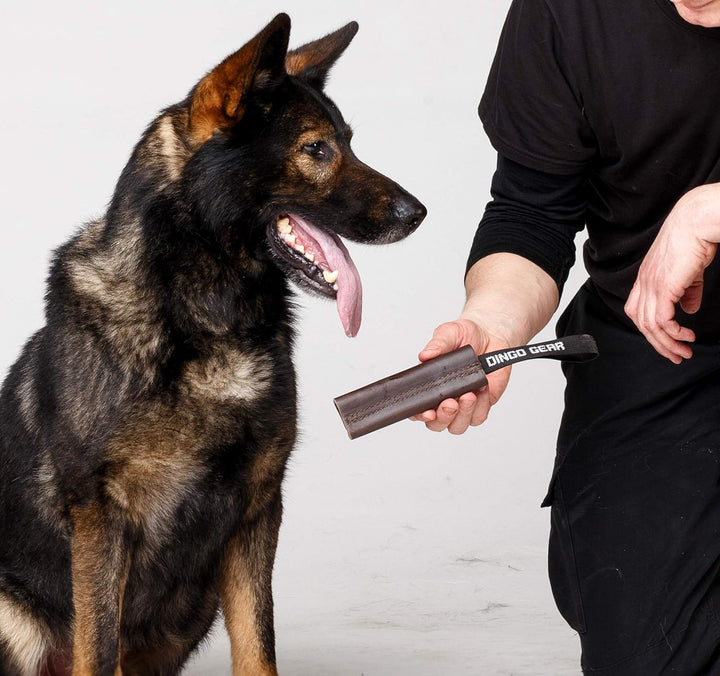 Dingo Gear S00230 Hundespielzeug Bissenzieher, Handarbeit aus braunem genarbtem Leder, Starkes Ziehe