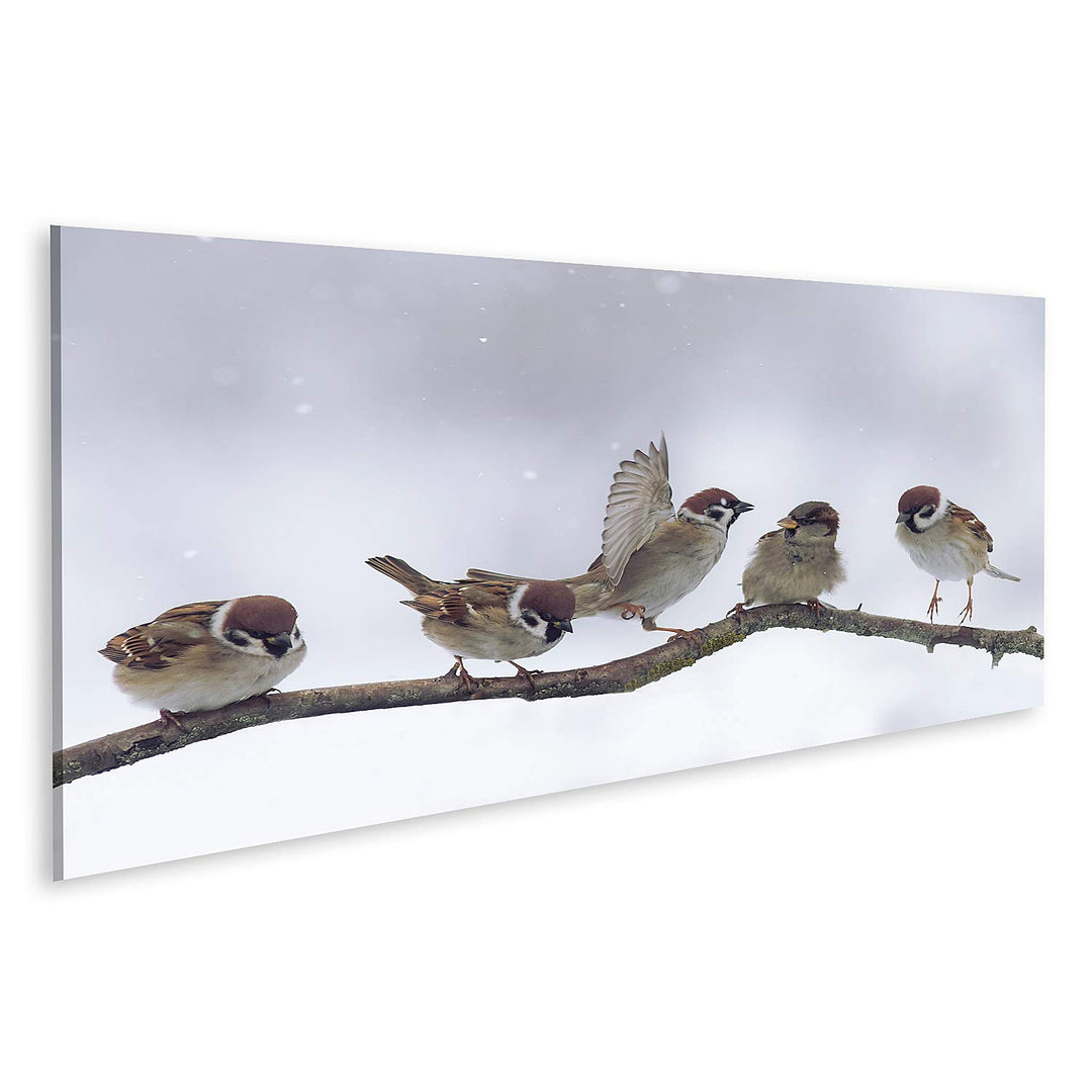 islandburner Bild auf Leinwand Spatzen Winter Verschneit Bilder Wandbilder Poster 120L x 40B cm, 120