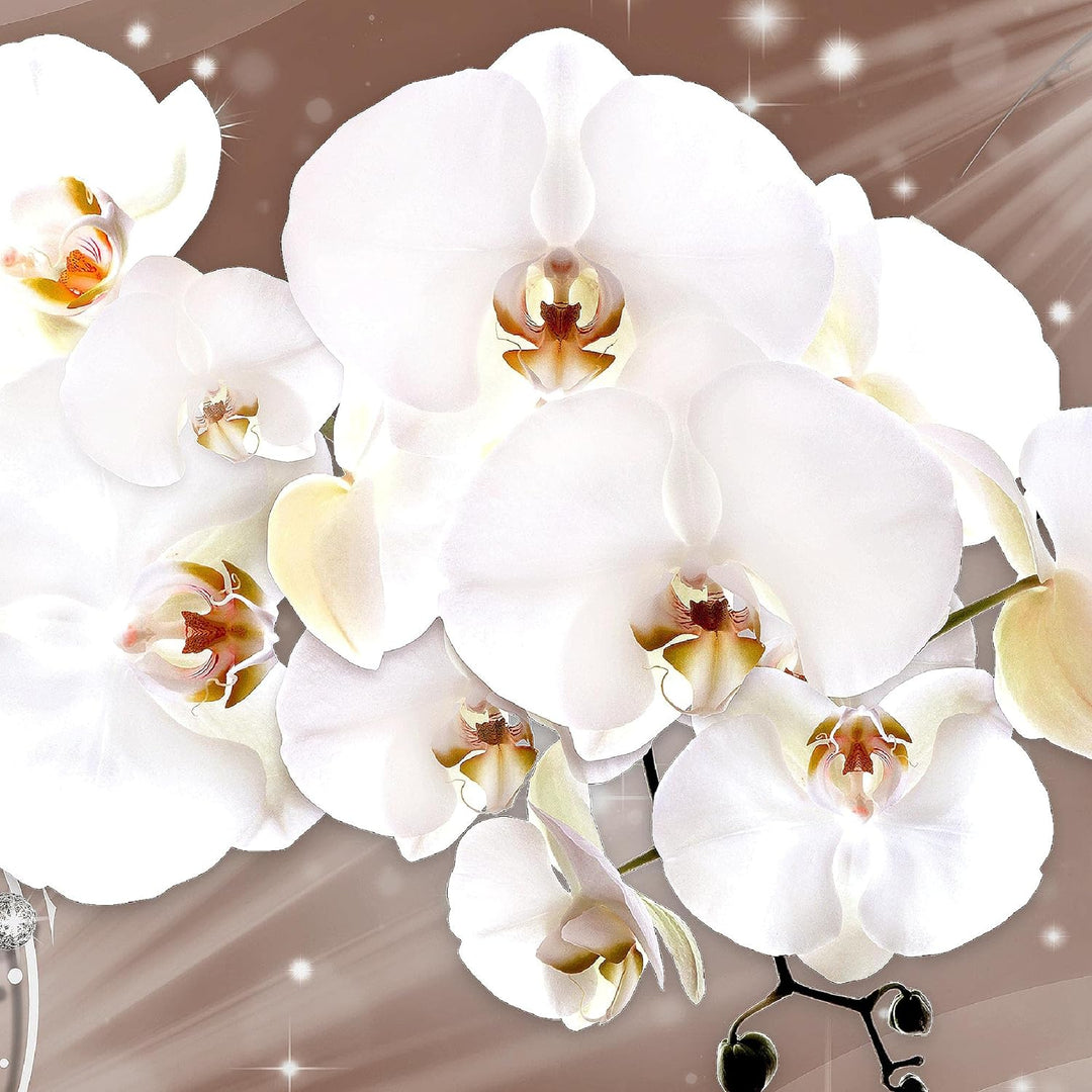 Runa Art Bild Modern Blumen Orchidee - Made in Germany - Wandbilder Abstrakt Beige Braun 4 Teilig 00