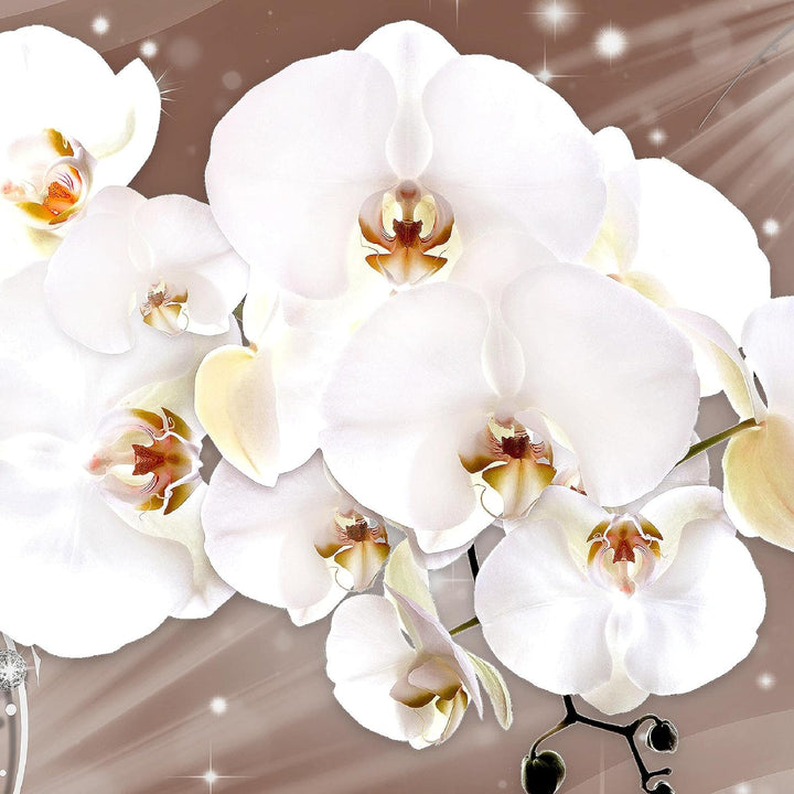 Runa Art Bild Modern Blumen Orchidee - Made in Germany - Wandbilder Abstrakt Beige Braun 4 Teilig 00