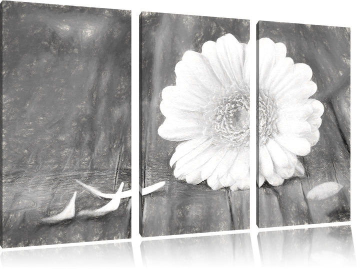 Pixxprint Gerbera auf Boden / 3-Teilig/Gesamtmass 120cm Leinwandbild bespannt auf Holzrahmen/Wandbil