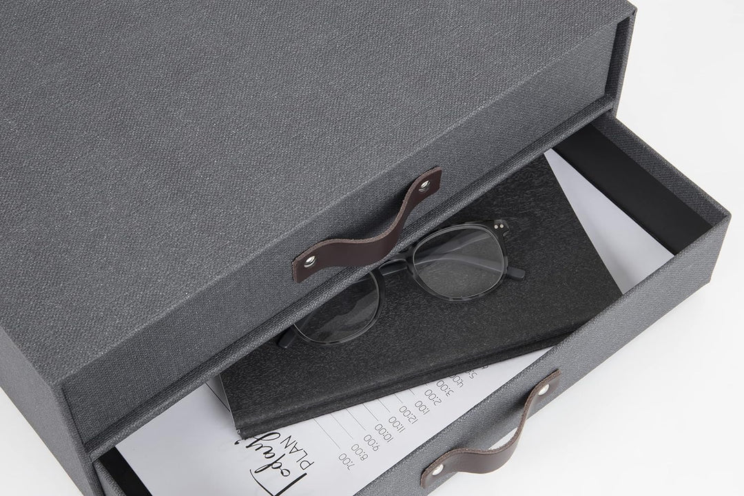 Bigso Box of Sweden Mini-Kommode für Dokumente und Büromaterial – Schreibtisch-Organizer mit 2 Schub