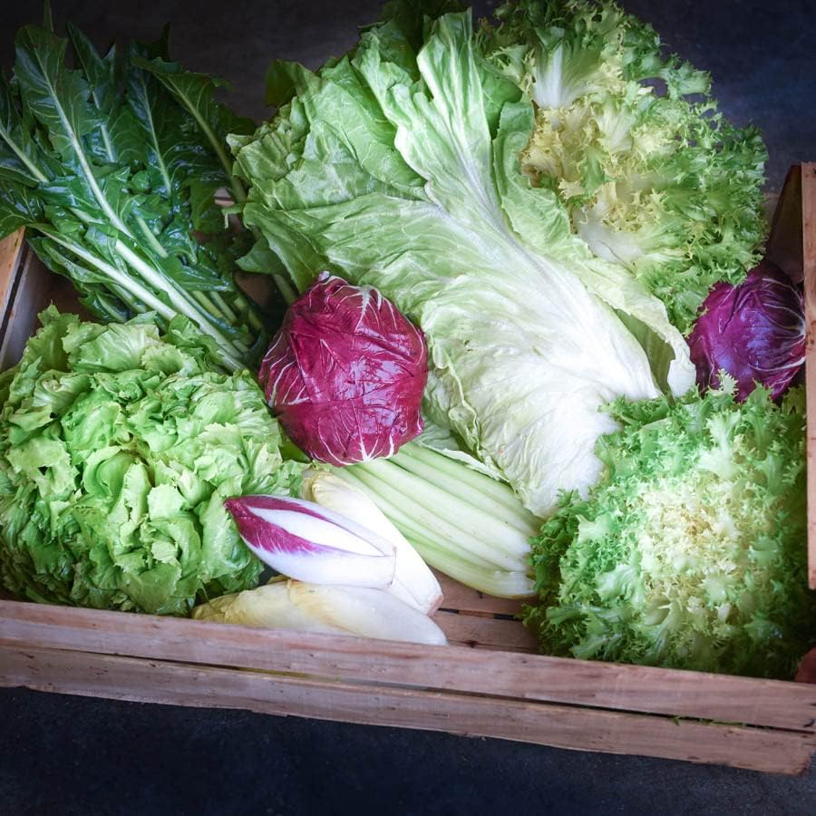 Frischekiste Bittersalatbox 6 kg, 6