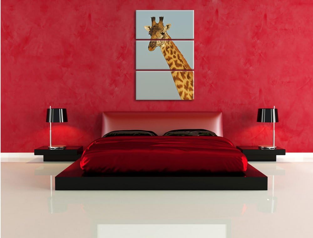 Pixxprint majestätische Giraffe als Leinwandbild/Grösse: 3 Teilig (120x80) cm/Wandbild/Kunstdruck/fe