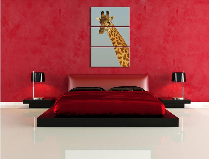 Pixxprint majestätische Giraffe als Leinwandbild/Grösse: 3 Teilig (120x80) cm/Wandbild/Kunstdruck/fe