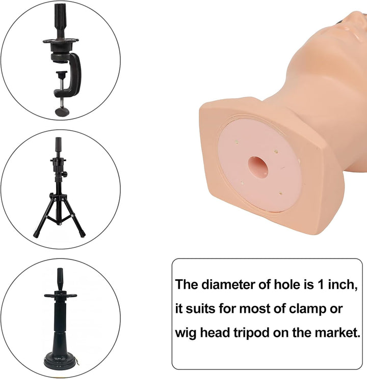 Male Mannequin Head Professional Bald Manikin Head Training Head for Wigs Display Mask Display Hat D