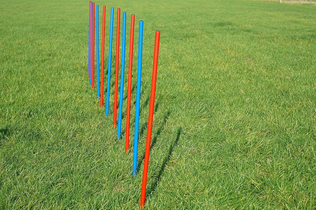 Agility-ÜBUNGS-ANFÄNGER-Set MIT SPRUNGRING/Slalom/HÜRDEN IN ROT/BLAU