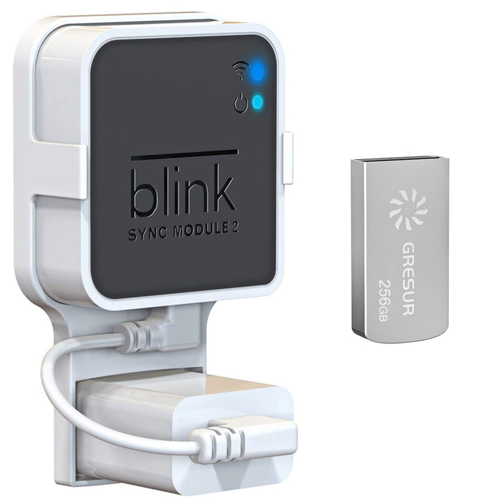 256 GB Blink USB-Speicherstick für lokale Video-Speicher mit dem Blink Sync Modul 2 Halterung (Blink