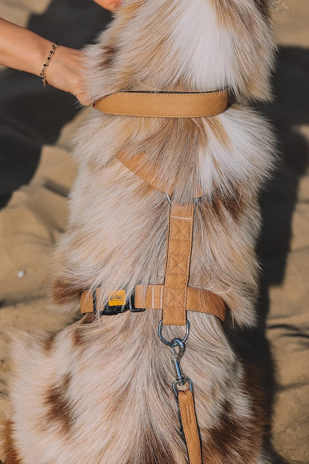 Dingo Hundegeschirre Guard Terra Sand Grosse M (2,0 cm; B: 38-70 cm) Beige 94422 M Beige, M Beige