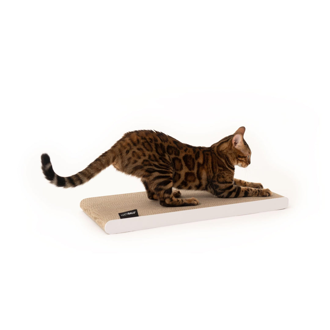LucyBalu® SCRATCHPAPER Kratzpappe aus hochwertiger Wellpappe | Katzen Kratzmatte aus Pappe| Kratzbre