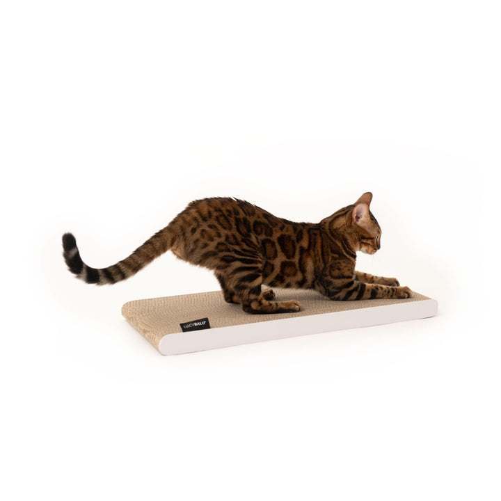 LucyBalu® SCRATCHPAPER Kratzpappe aus hochwertiger Wellpappe | Katzen Kratzmatte aus Pappe| Kratzbre