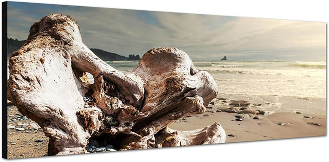 Paul Sinus Art Panoramabild auf Leinwand und Keilrahmen 150x50cm Sri Lanka Strand Gehölz Wolkenschle