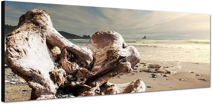 Paul Sinus Art Panoramabild auf Leinwand und Keilrahmen 150x50cm Sri Lanka Strand Gehölz Wolkenschle