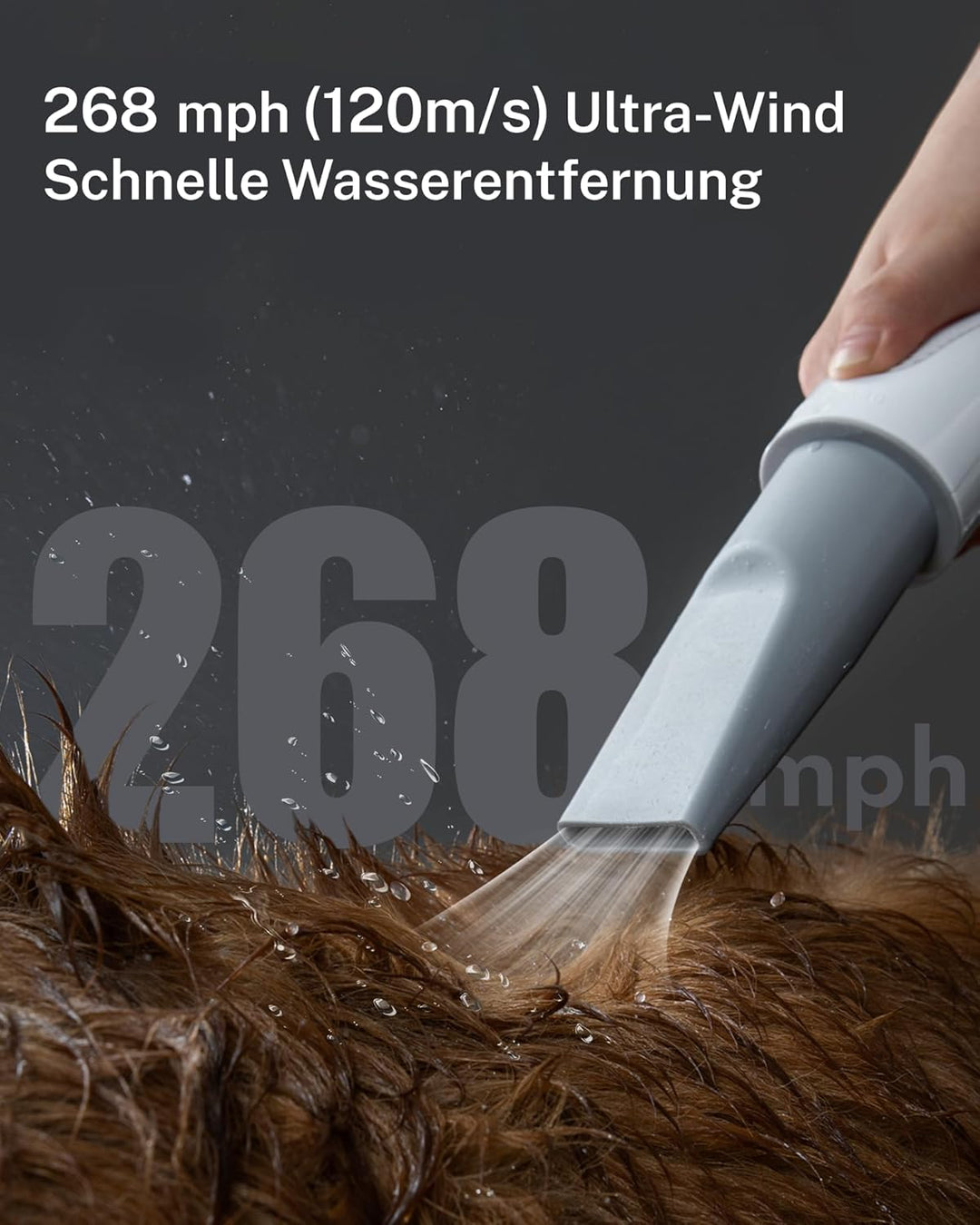 HomeRunPet Ultraleiser Hundefön für die Hundepflege, Hundetrockner in Salonqualität, 99 Geschwindigk