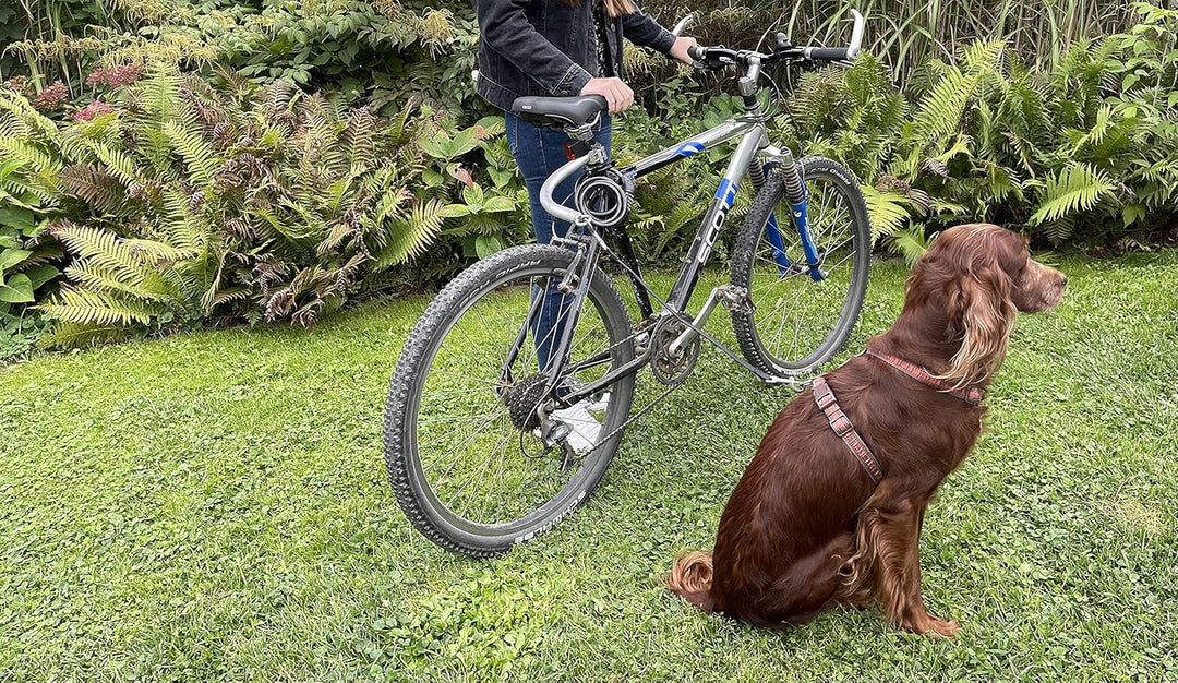 Vabenco GbR Hunde Fahrradstange, Abstandhalter, Hundeleine, Führungsstange, Fahrradsattel, Silber, M