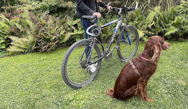 Vabenco GbR Hunde Fahrradstange, Abstandhalter, Hundeleine, Führungsstange, Fahrradsattel, Silber, M