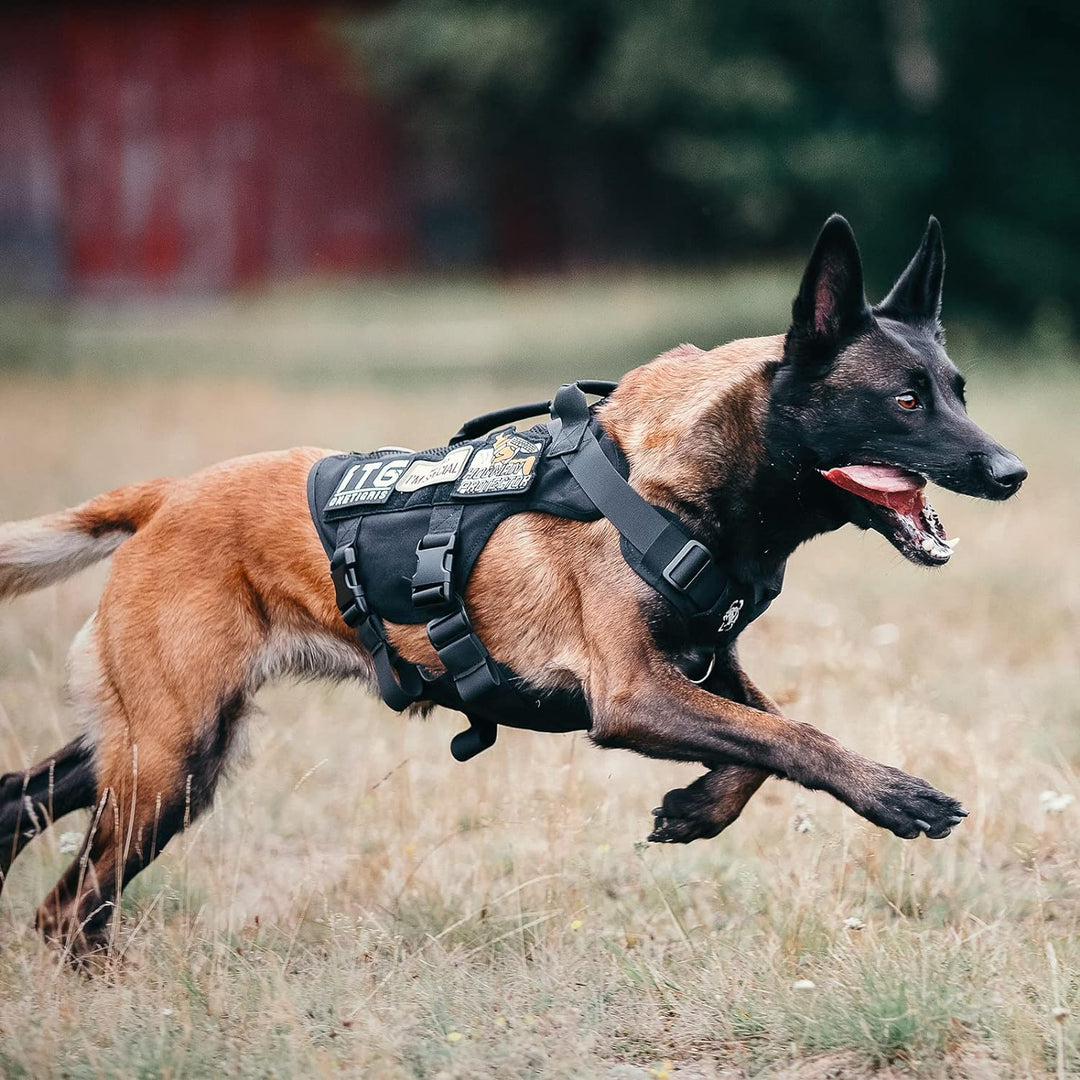 OneTigris No-Pull Hundegeschirr, AIRE MESH Einstellbar Sicherheitsgeschirr Ultra Atmungsaktiv für Gr