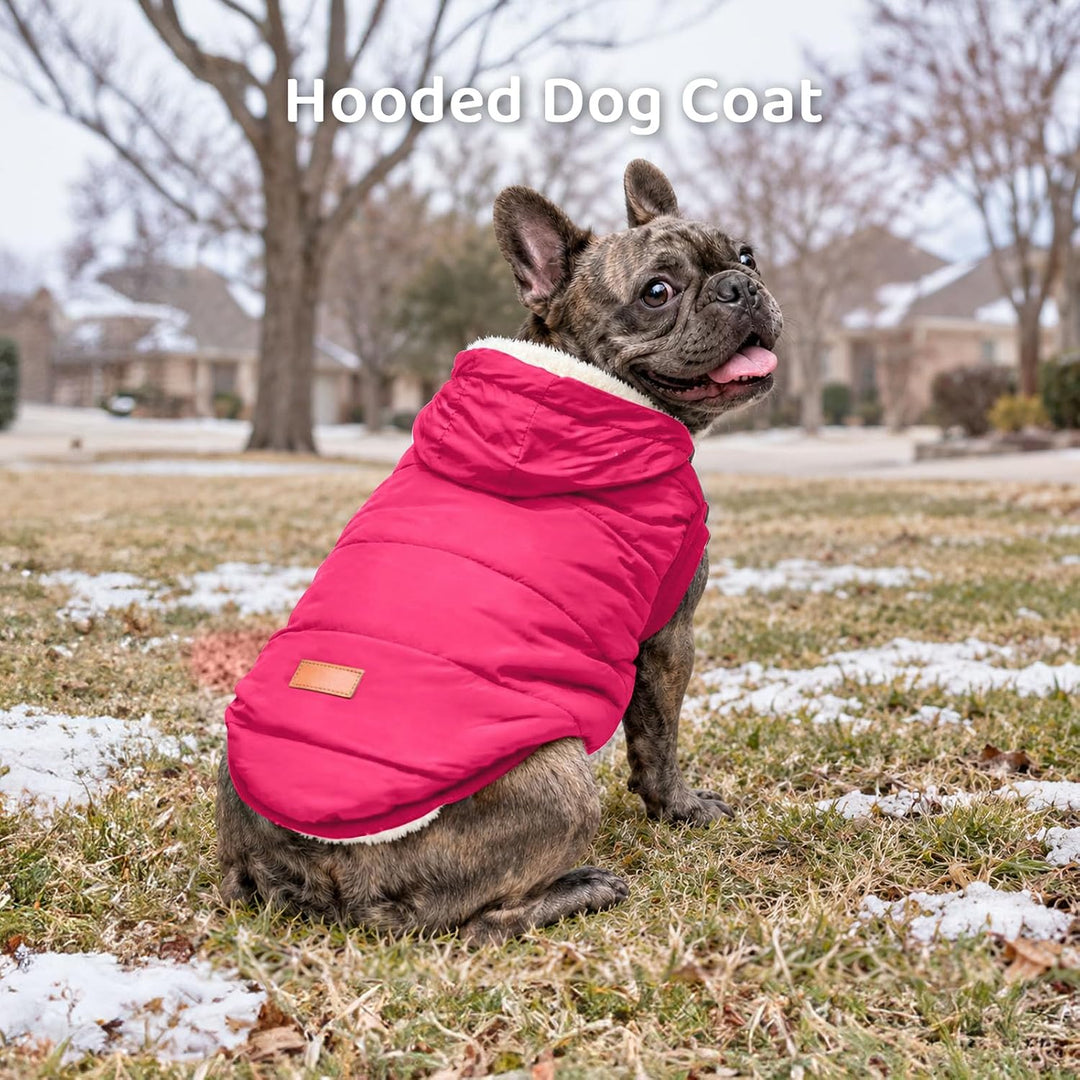 Hunde-Kapuzenpullover mit Fleece-Futter, extra warm, Grösse S, Rosa, Small (Pack of 1) rose