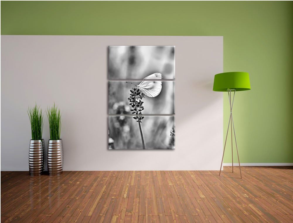 Pixxprint Schmetterling auf Lavendel als Leinwandbild/Grösse: 3 Teilig (120x80) cm/Wandbild/Kunstdru