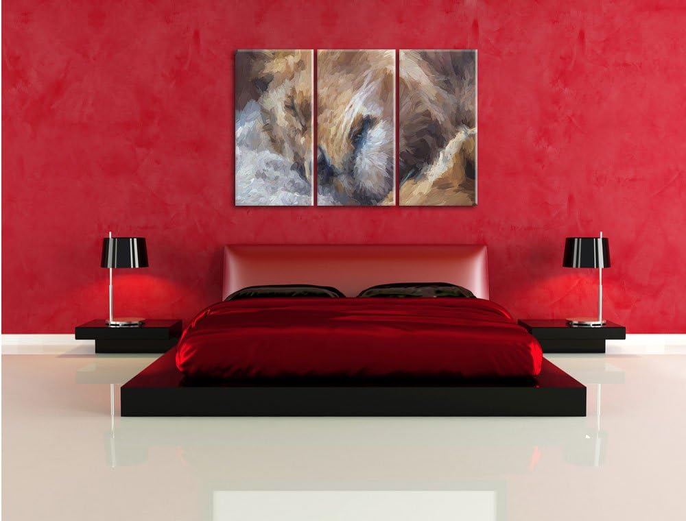 Pixxprint schlafender Löwe Kunst als Leinwandbild/Grösse: 3 Teilig (120x80) / Wandbild/Kunstdruck/fe