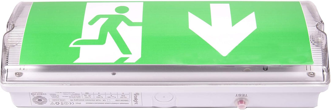 IP 65 LED Dauerlicht Notleuchte Notbeleuchtung Notausgang Fluchtwegleuchte Notlicht Fluchtweg EXIT (
