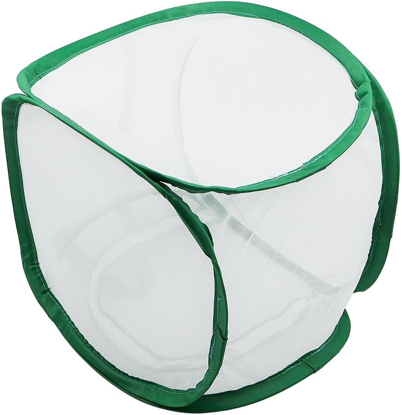 Netzkäfig für Insekten und Schmetterlinge im Garten, transparenter Kleiner Sitzkäfig für Schmetterli