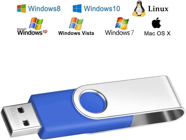 10 Stück USB-Sticks 2GB Blau USB 2.0 Speicher Stick 2 GB Einklappbarer Pendrive FEBNISCTE Tragbar US
