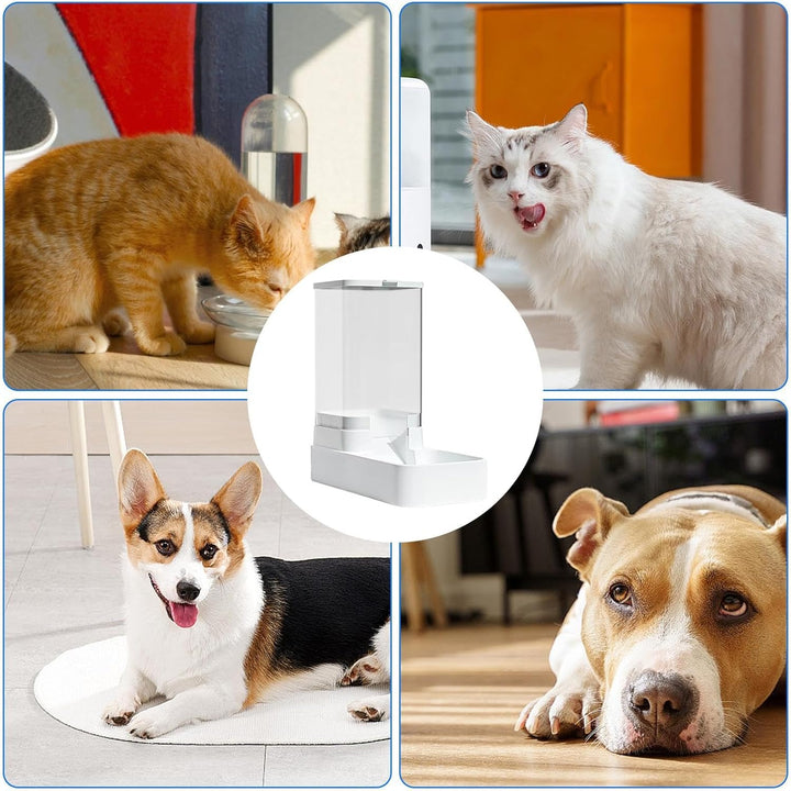 2Stk Automatisches Futter- Und Wasserspender Für Hunde, Katzen - Automatischer Futterspender Katze |