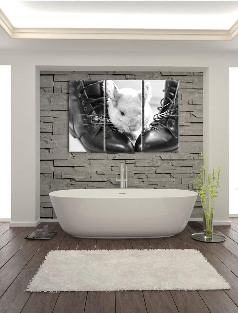 Pixxprint Chinchilla zwischen Schuhen als Leinwandbild/Grösse: 3 Teilig (120x80) cm/Wandbild/Kunstdr