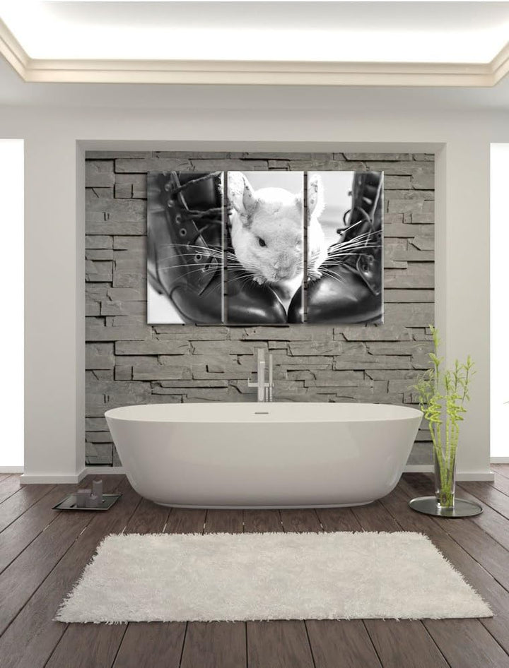 Pixxprint Chinchilla zwischen Schuhen als Leinwandbild/Grösse: 3 Teilig (120x80) cm/Wandbild/Kunstdr