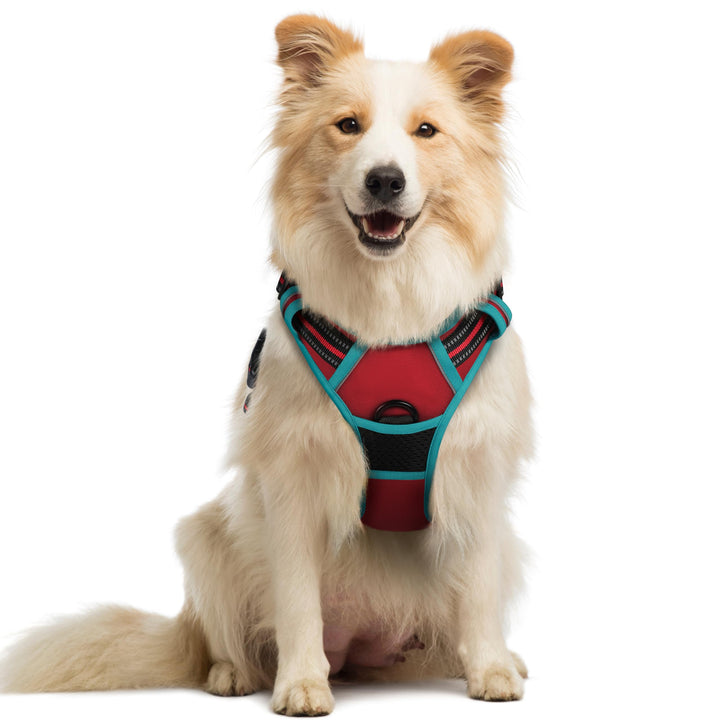rabbitgoo Hundegeschirr Mittelgrosse Hunde, Anti Zug Geschirr mit Kontrolle, No Pull Verstellbar Hun