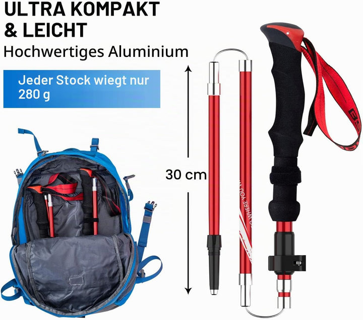 BISINNA Wanderstöcke Trekkingstöcke Nordic Walking Stöcke - 95-115 cm / 115-135 cm Faltbar Verstellb