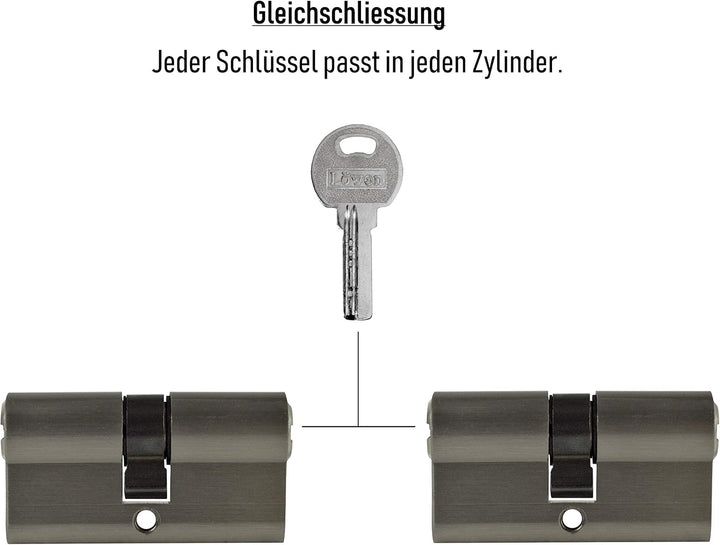 LÖWEN 60 mm 2x Zylinderschloss 30/30 Doppelzylinder gleichschliessend Massive Schliesszylinder inkl.