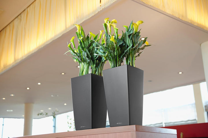 LECHUZA CUBICO Premium 22 anthrazit metallic 18463 22x22x41 cm Anthrazit Metallic, 22x22x41 cm Anthr