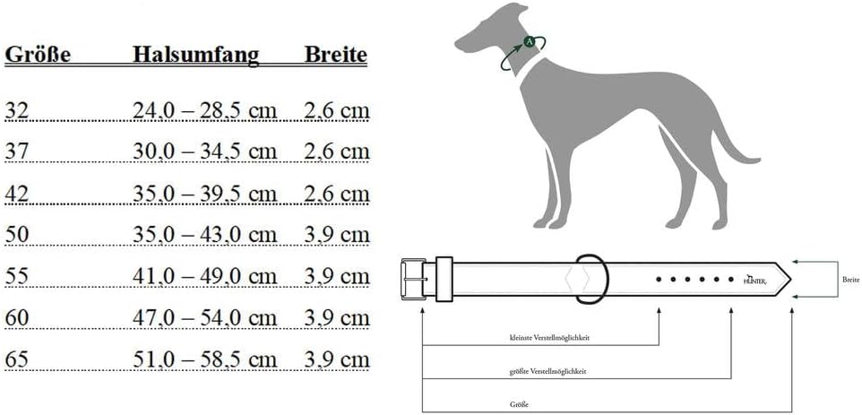 HUNTER BASIC Hundehalsband, beschichtetes Spaltleder, Kunstleder, schlicht, robust, witterungsbestän