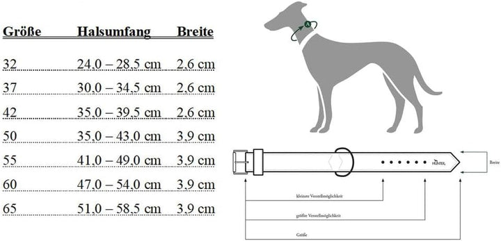 HUNTER BASIC Hundehalsband, beschichtetes Spaltleder, Kunstleder, schlicht, robust, witterungsbestän