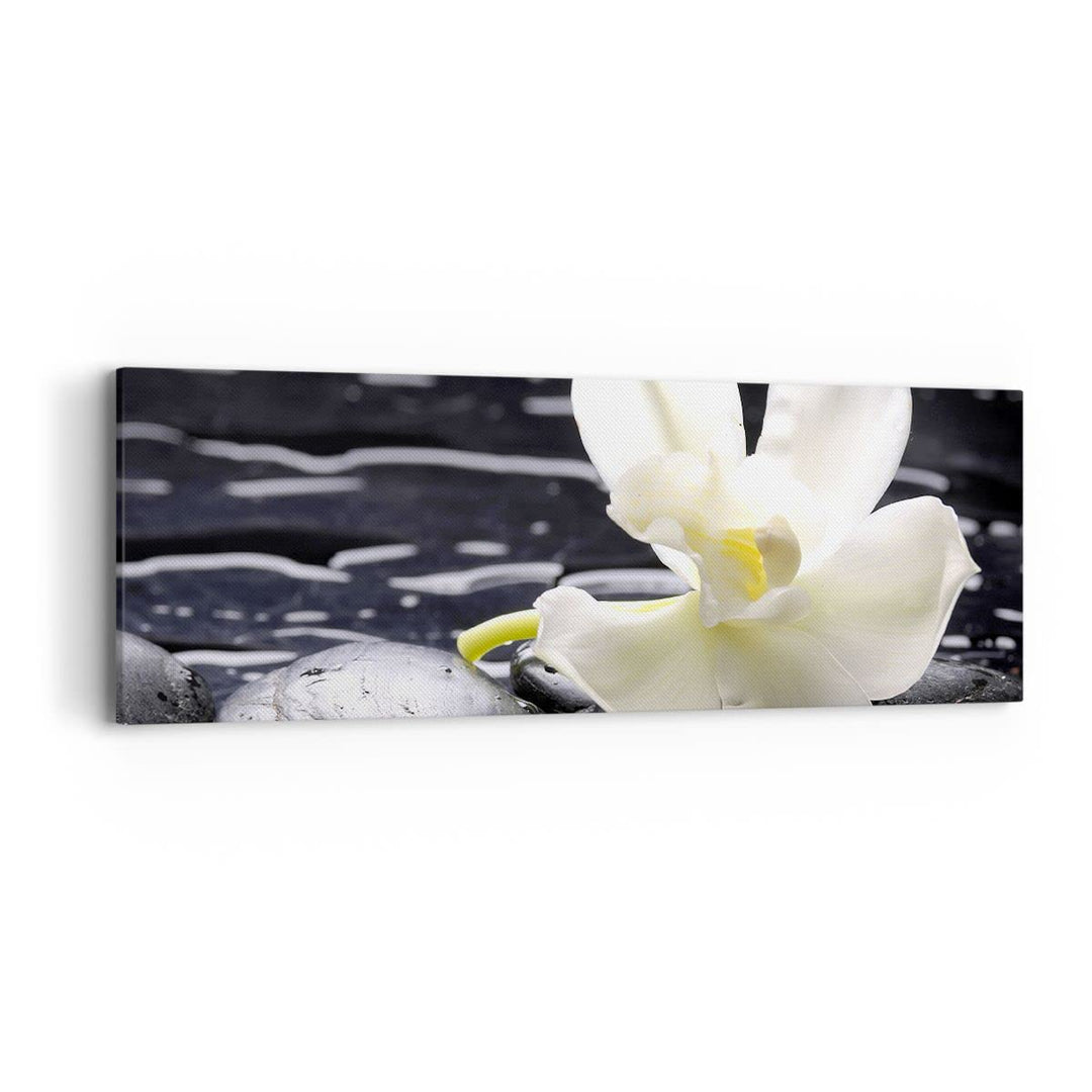 Panorama Bilder auf Leinwand Spa Orchidee Steine Wasser Leinwandbild 90x30cm Wandbilder Dekoration W