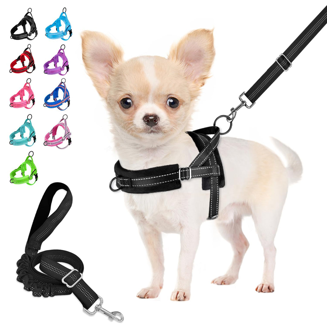 Eyein No-Pull Hundegeschirr mit Leine, Geschirr mit Weich Gepolstertes, Reflektierend, Verstellbares