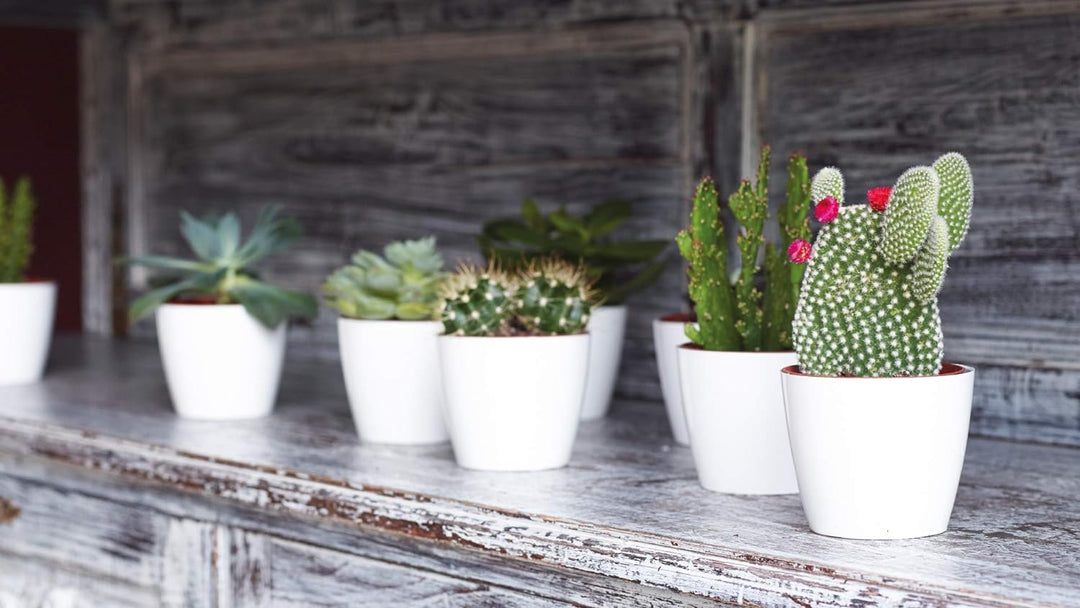SAN REMO POT 42CM WHITE Weiss, Weiss