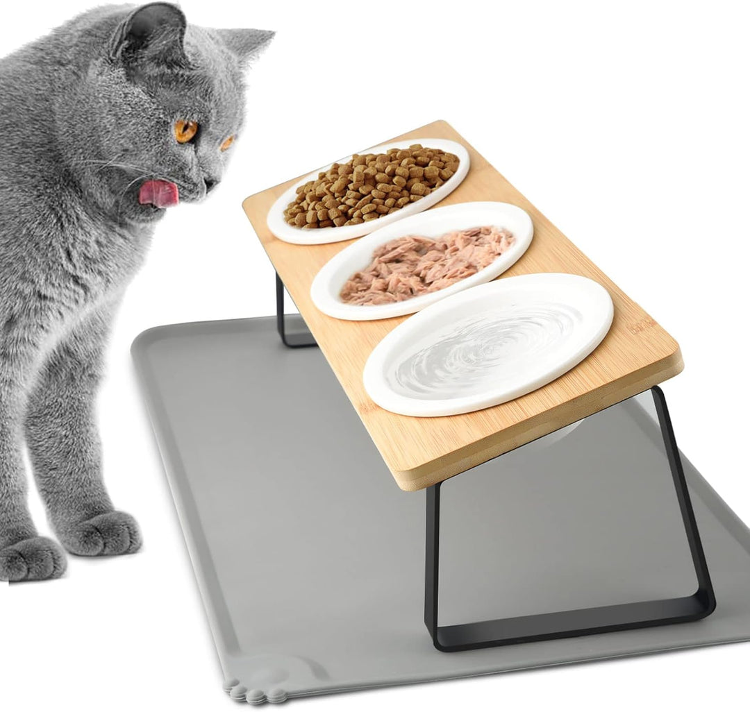 Lannvan Katzennapf Erhöht - 3er Set Futternapf aus Keramik mit Napfunterlage Silikon - 15° gekippte