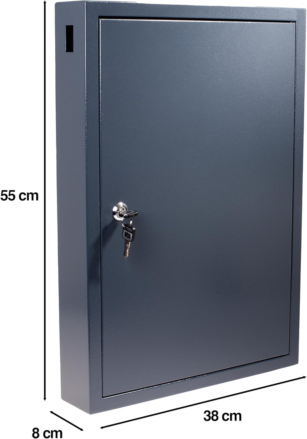 Pavo 8047222 Deluxe Schlüssel-Kasten/Schrank/Tresor, 100 Haken mit seitlichem Schlüsseleinwurf, dunk