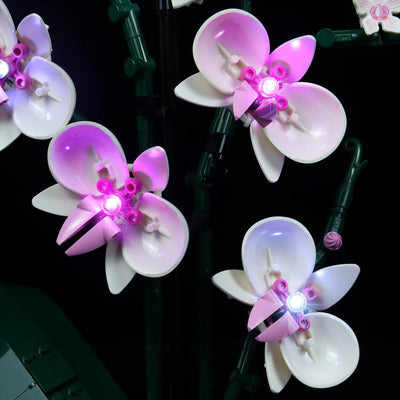 Led Licht Set für Lego Orchidee, Led Beleuchtungs Set für Lego 10311 Orchidee Botanical Collection S